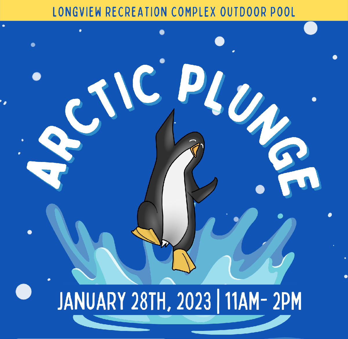 Arctic Plunge Event